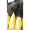 Energolux Brissago CPW 1000